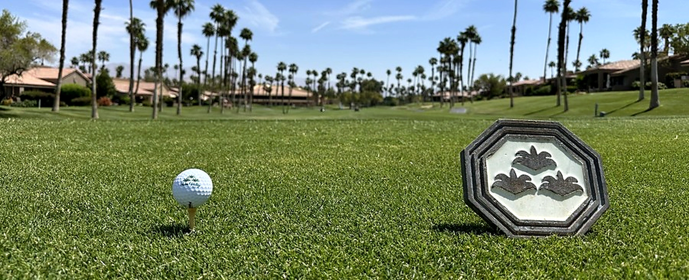 Palm Valley Country Club의 야자수와 골프 코스